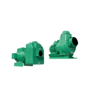 Bombas autocebantes WDM – Serie AE bomba autocebante en hierro fundido con motor eléctrico, succión y descarga desde 1" hasta 4"