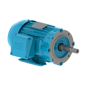 Motores trifasicos Weg – Motor trifasico w22 severe duty jm, 0.75HP HASTA 75HP